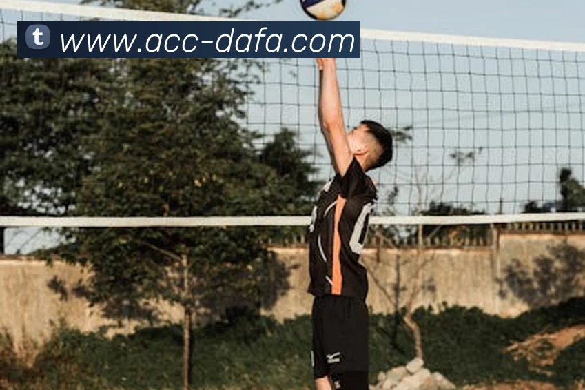 大发彩票APP 封面图